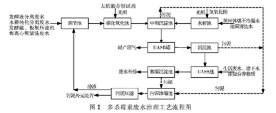 多杀霉素废水处理 解决方案